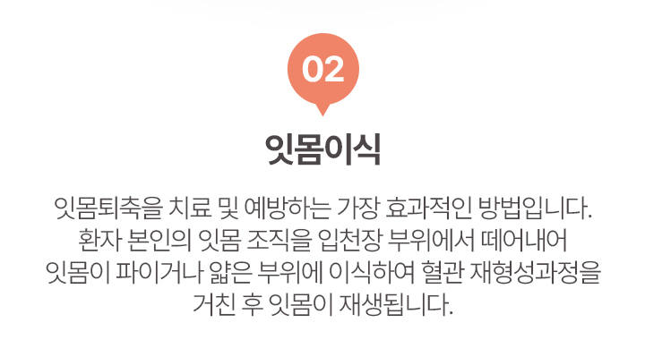 02.잇몸이식