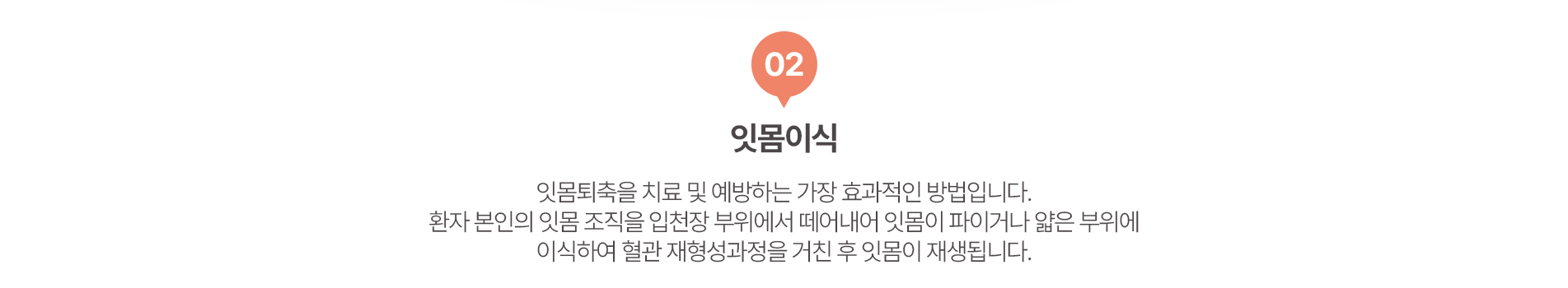 02.잇몸이식