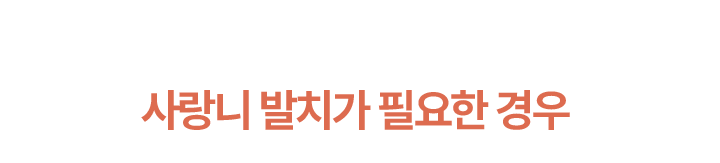 사랑니 발치가 필요한 경우