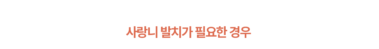 사랑니 발치가 필요한 경우